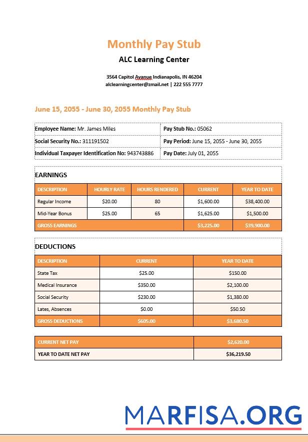 Realistic Learning Center Monthly Paystub example